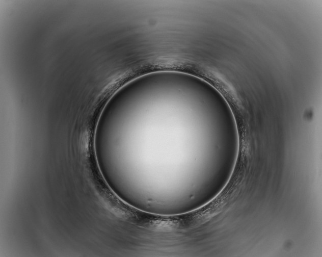 X0000100200115200806061331