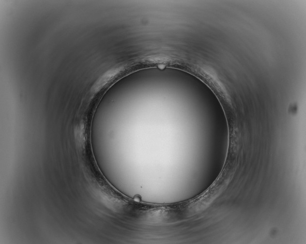 X0000100200116200806061331