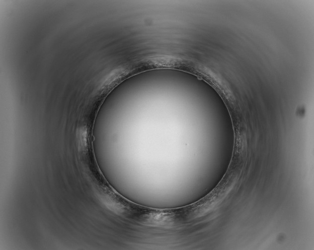 X0000100200117200806061331