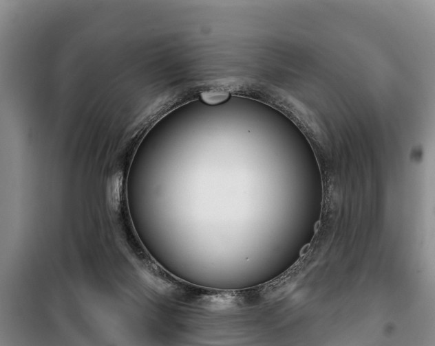 X0000100200118200806061331