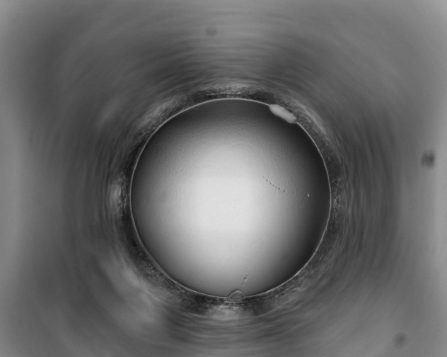 X0000100200119200806061331