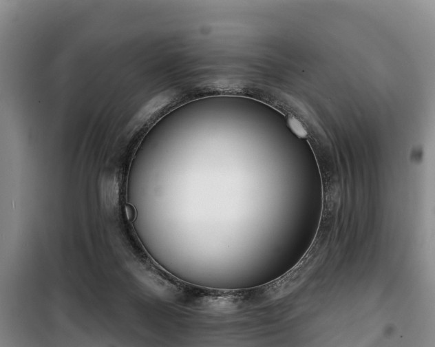 X0000100200120200806061331