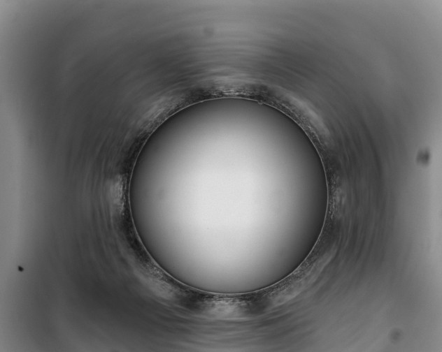 X0000100200121200806061331