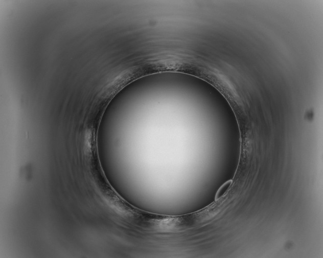 X0000100200122200806061331