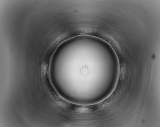 X0000100200123200806061331