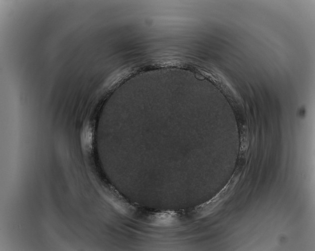 X0000100200124200806061331