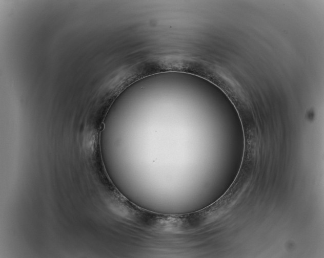 X0000100200125200806061331