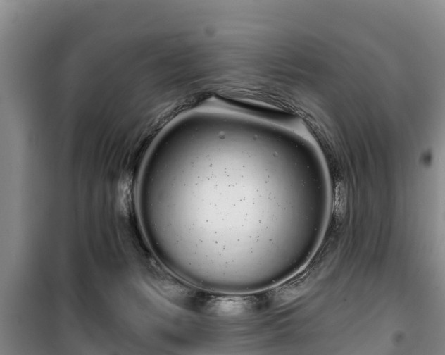 X0000100200127200806061331