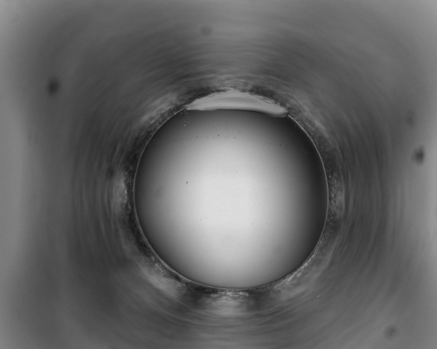 X0000100200128200806061331