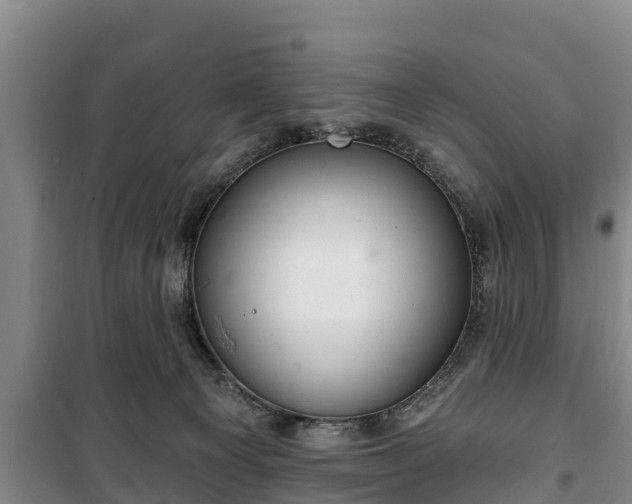 X0000100200129200806061331