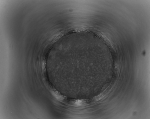 X0000100200130200806061331