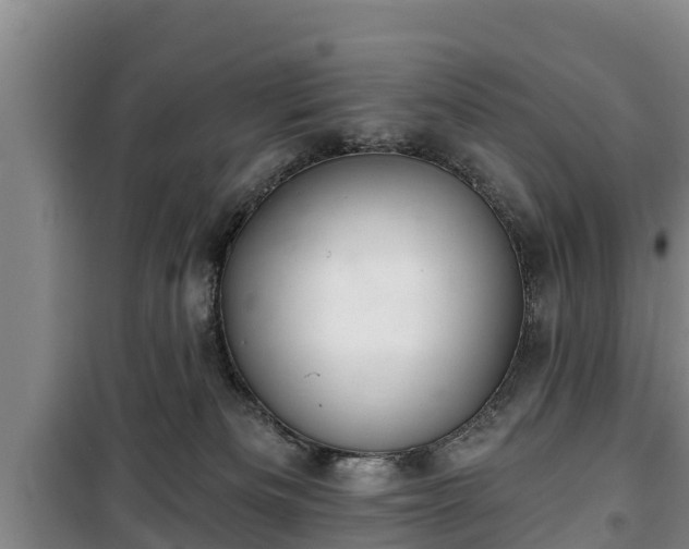 X0000100200133200806061331