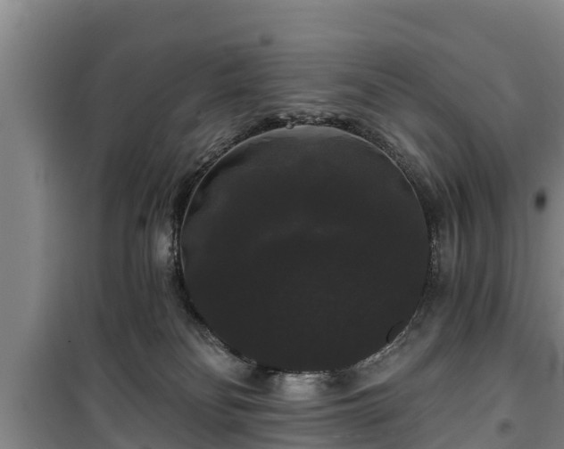 X0000100200134200806061331