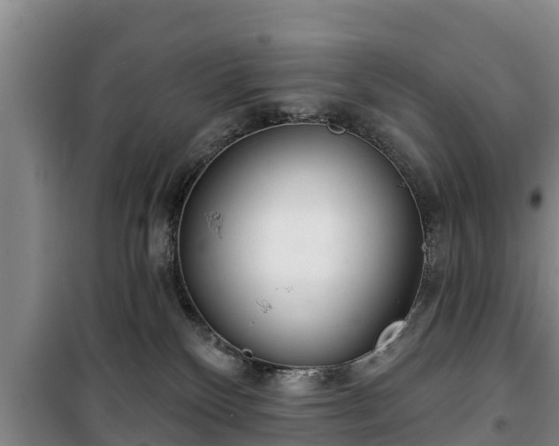 X0000100200136200806061331