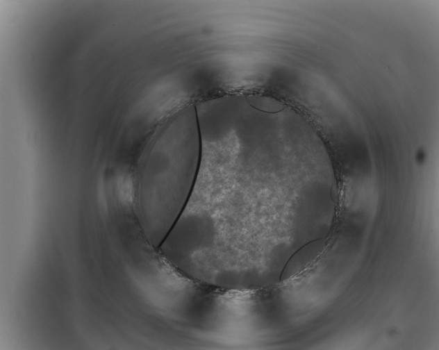 X0000100200138200806061331