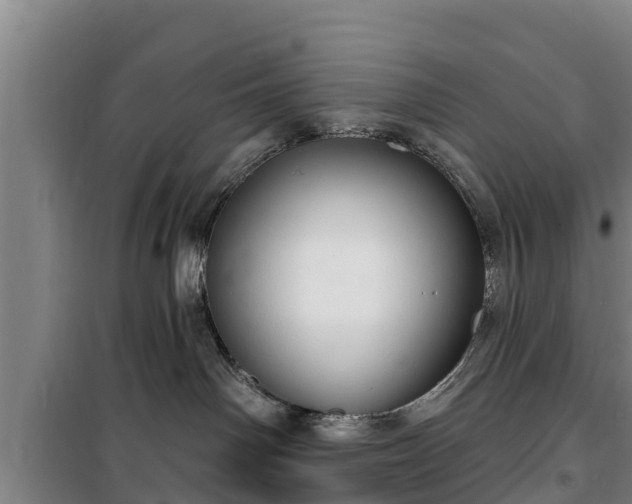 X0000100200142200806061331