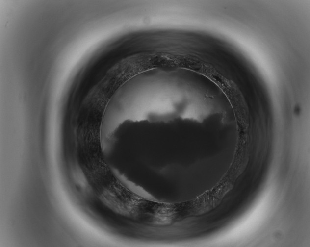 X0000100200143200806061331