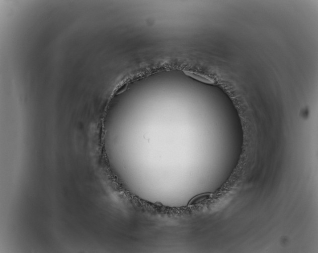 X0000100200144200806061331