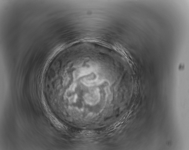 X0000100200145200806061330