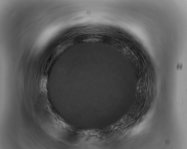 X0000100200146200806061330