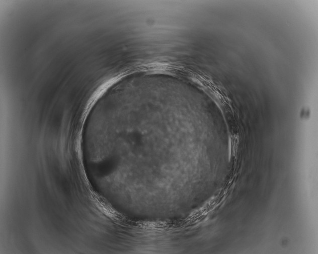 X0000100200147200806061330