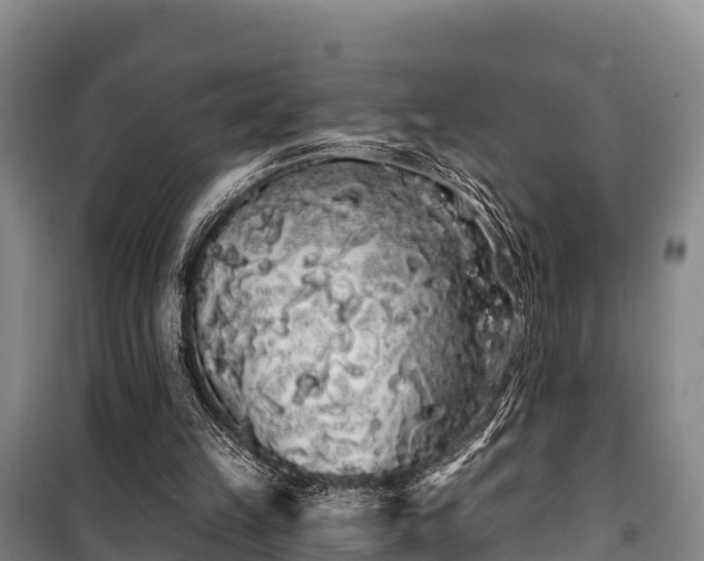 X0000100200149200806061330