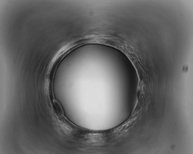 X0000100200150200806061330