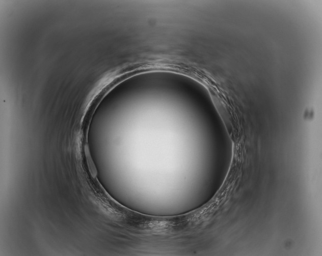 X0000100200152200806061330