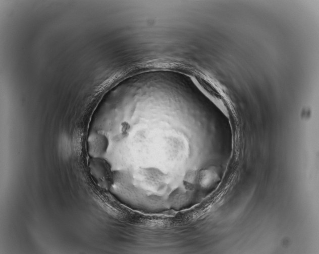 X0000100200153200806061330