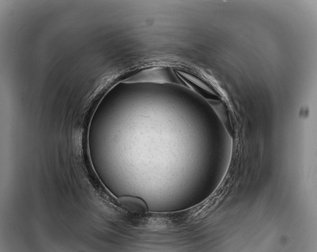 X0000100200154200806061330