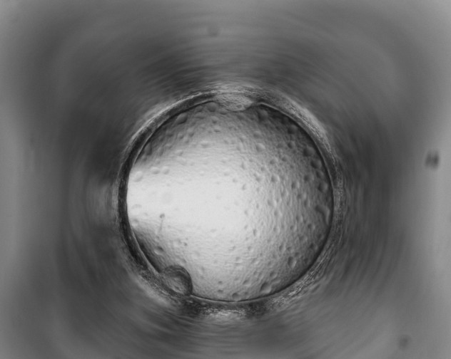 X0000100200155200806061330