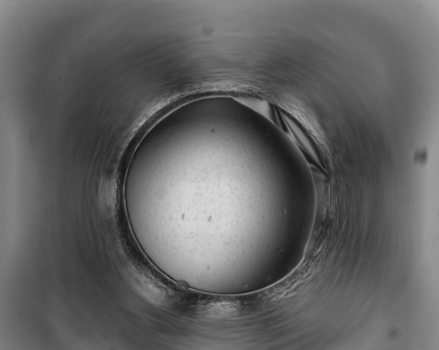 X0000100200156200806061330