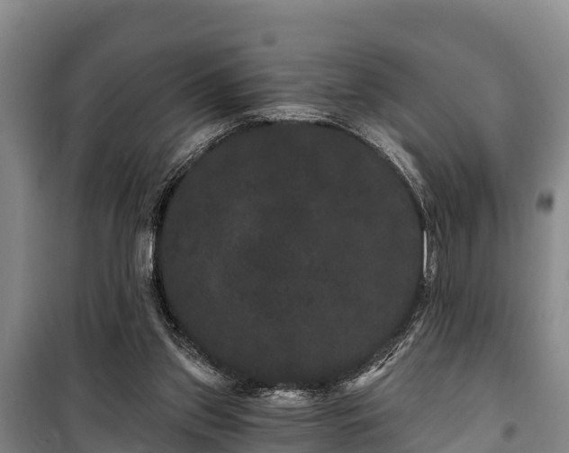 X0000100200157200806061330