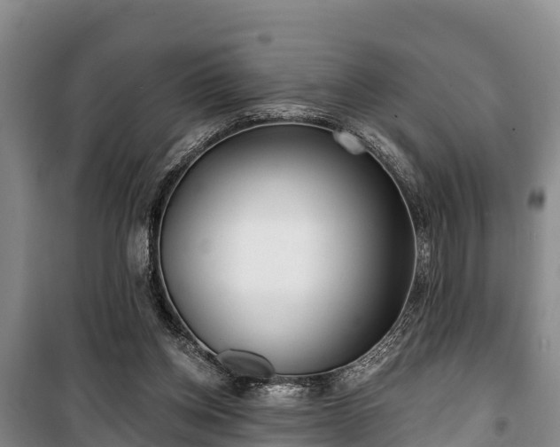 X0000100200158200806061330