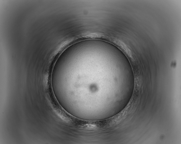 X0000100200159200806061330