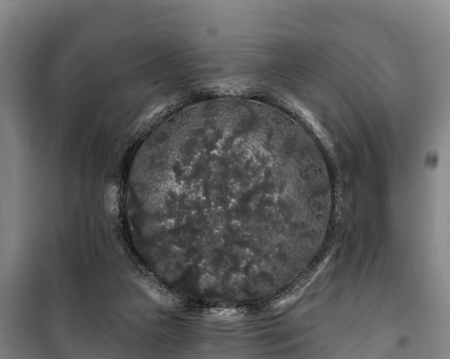 X0000100200161200806061330