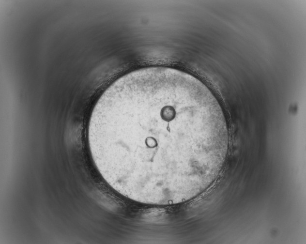 X0000100200162200806061330