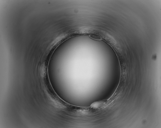 X0000100200164200806061330