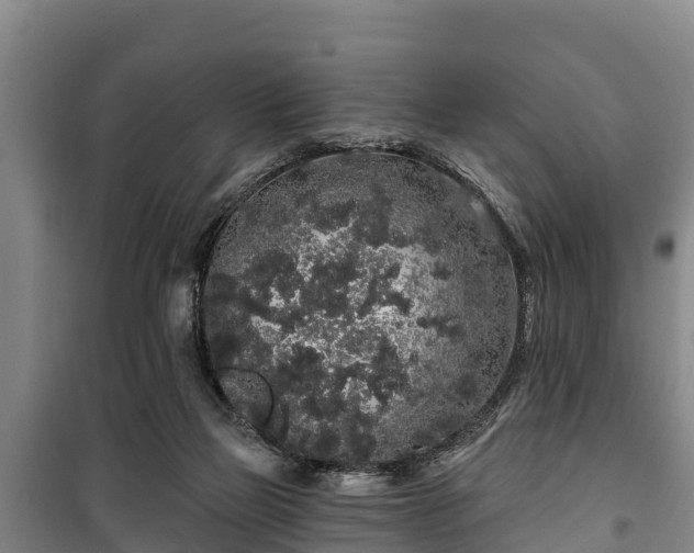 X0000100200165200806061330