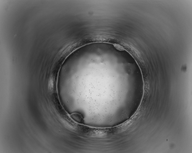 X0000100200166200806061330