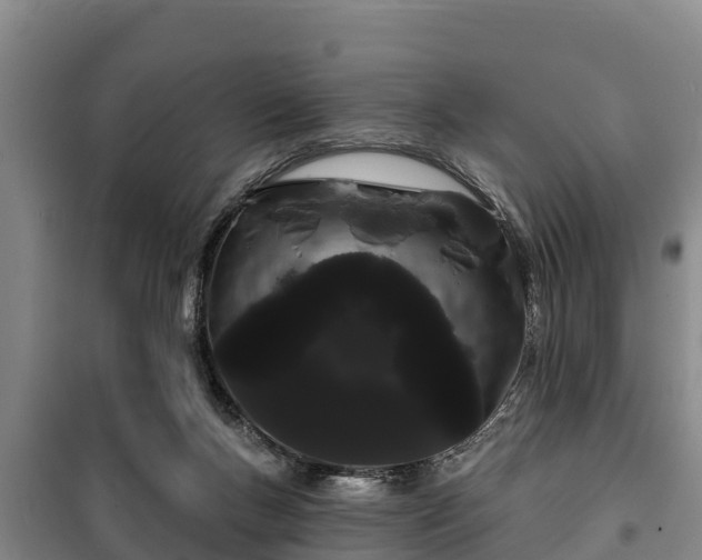 X0000100200167200806061330