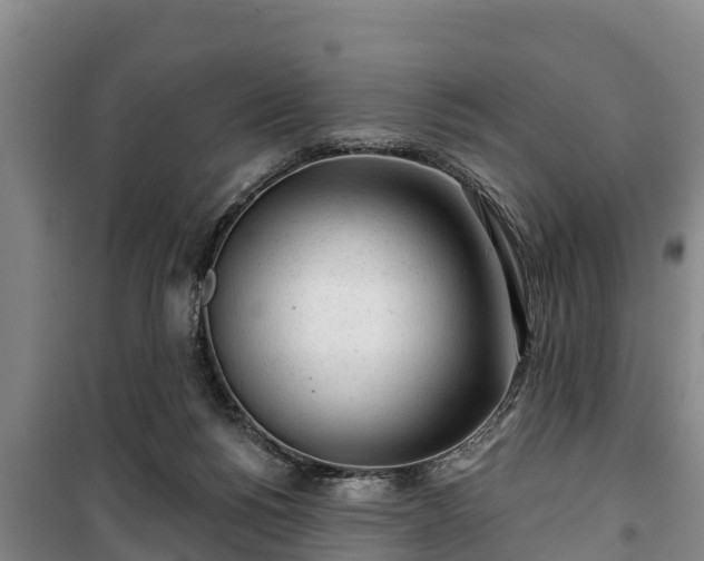 X0000100200168200806061330