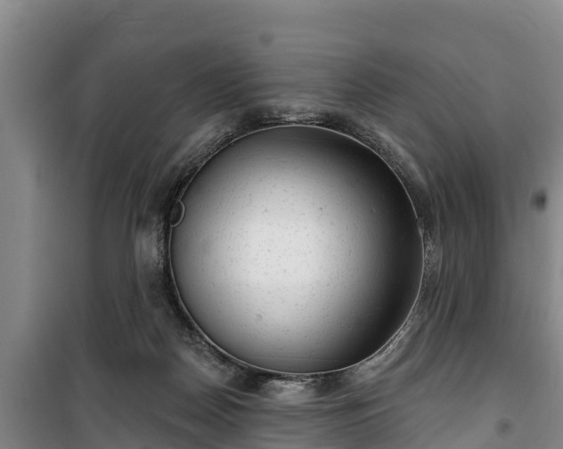 X0000100200170200806061330