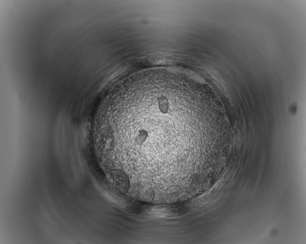 X0000100200171200806061330