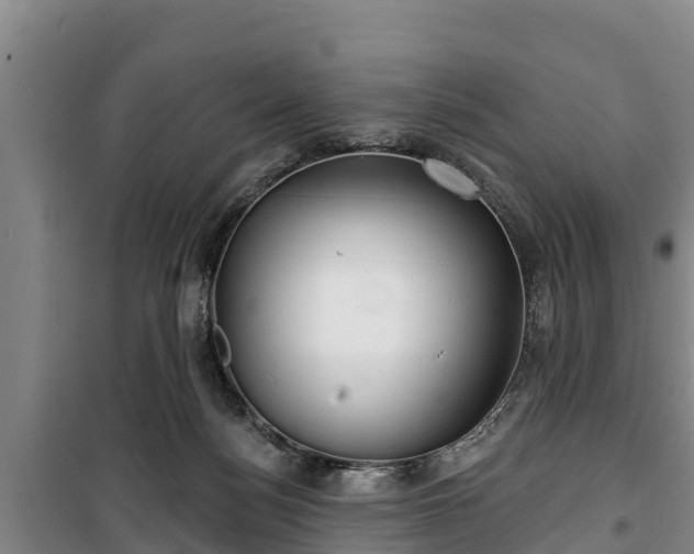 X0000100200172200806061330