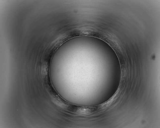 X0000100200174200806061331