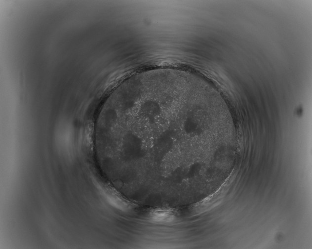 X0000100200175200806061331