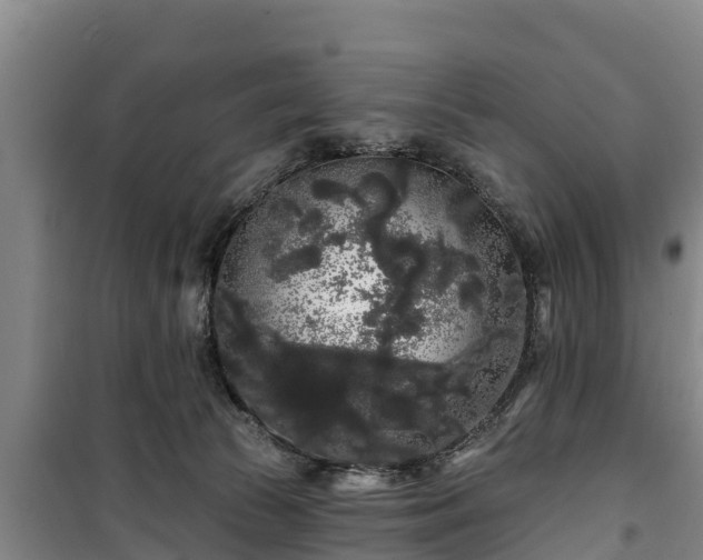 X0000100200177200806061331