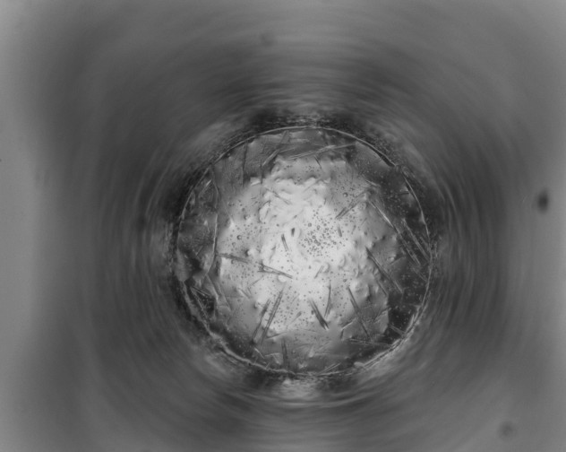 X0000100200178200806061331