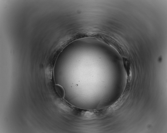 X0000100200180200806061331